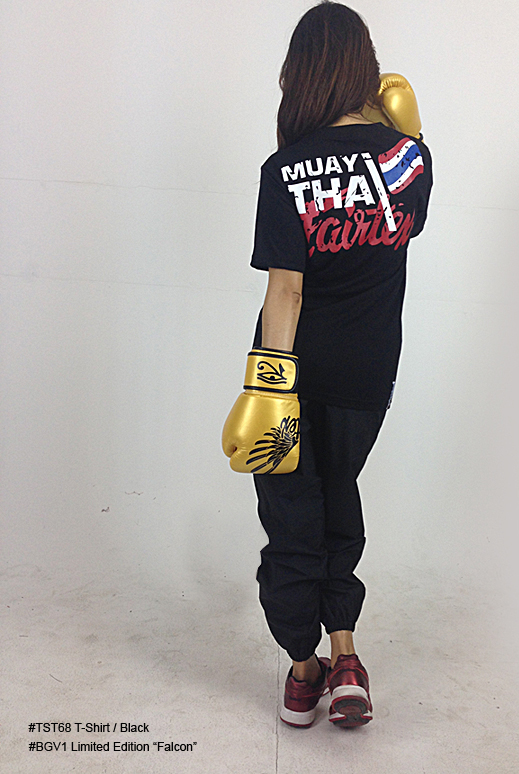 fairtex falcon gloves